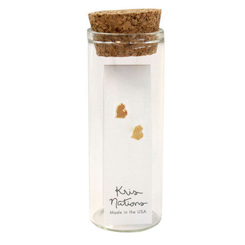 Michigan Earrings Silver