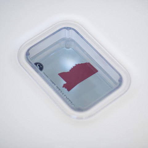 Mississippi Starkville Lit Cooler