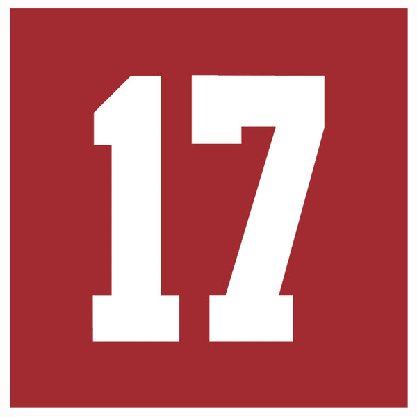 The 17 Series Sticker