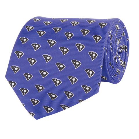 South Carolina Traditional Tie Blue with Navy